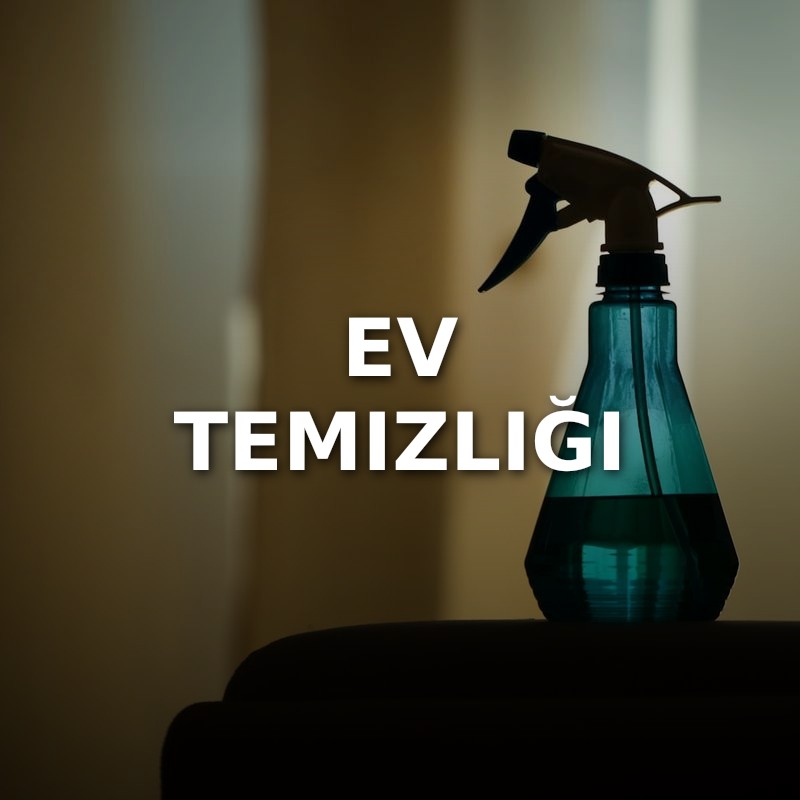 Ev Temizliği