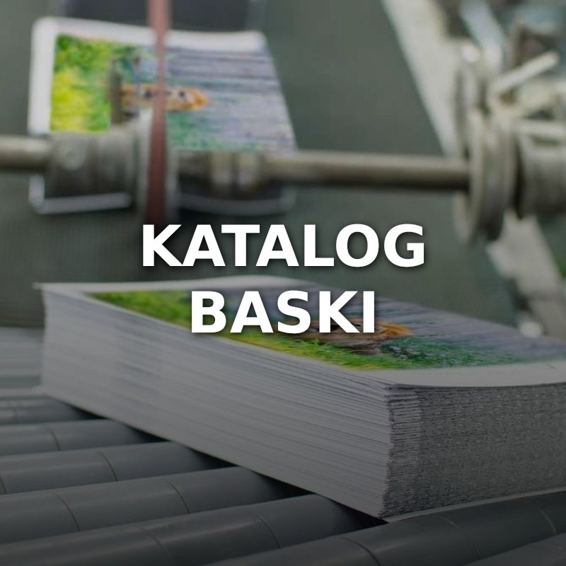 Katalog Baskı